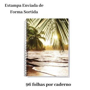 Kit 10 Cadernos Pequenos 1/4 Flexível 96 Folhas Sortidos Escolar