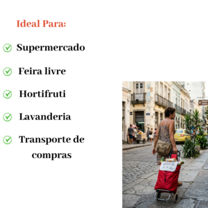 Carrinho De Compras Feira Supermercado Passeio  Leve Pratic