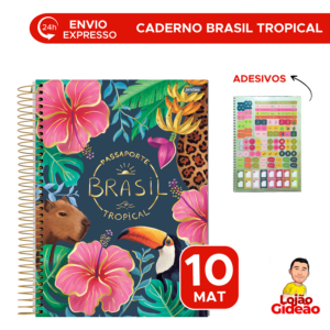 Caderno Universitário 10 Matérias Brasil Tropical 160 Fls