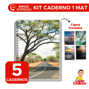 Kit 5 Cadernos Universitário 1 Matéria Com 96 Folhas De Capa Dura Para Revenda